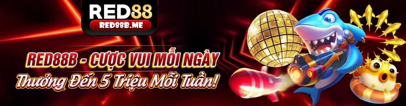 Hoàn Trả Cược Hàng Ngày