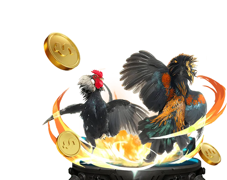 Hình ảnh minh họa người dùng cá cược có trách nhiệm tại K9bet